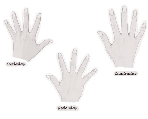 Según tus manos así han de ser tus uñas