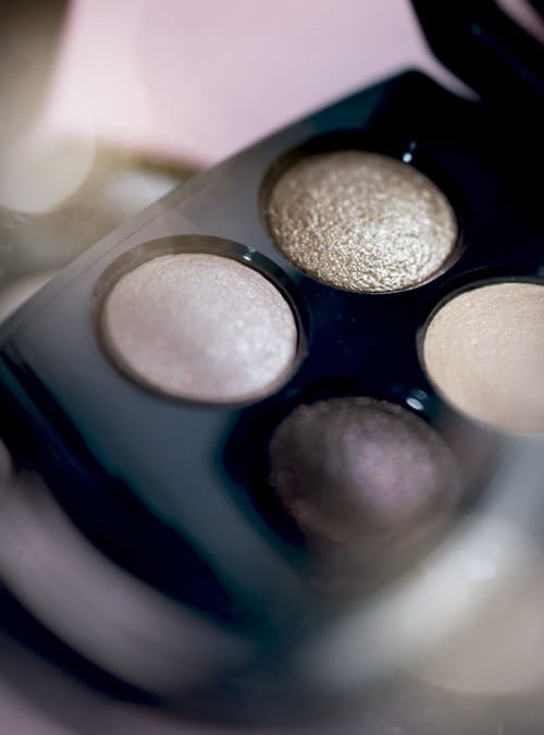 Colección chanel otoño 2014 3 JC_10930